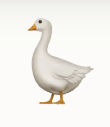 wellbeingABC goose logo